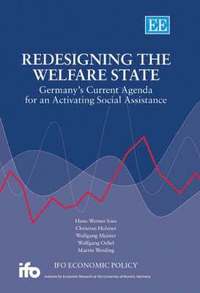 bokomslag Redesigning the Welfare State