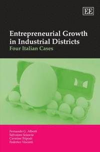 bokomslag Entrepreneurial Growth in Industrial Districts