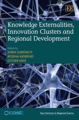 Knowledge Externalities, Innovation Clusters and Regional Development 1