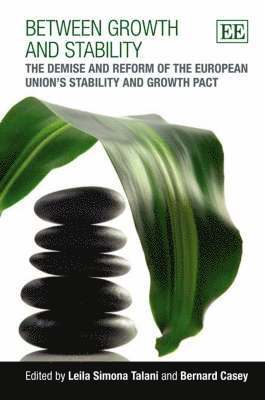 Lelia Simona Talani, Bernard Casey - Between Growth and Stability, Inbunden