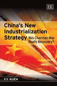 bokomslag Chinas New Industrialization Strategy