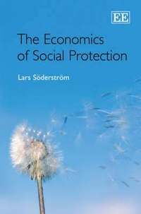 bokomslag Economics of Social Protection