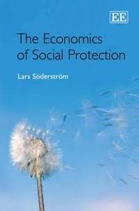 bokomslag The Economics of Social Protection