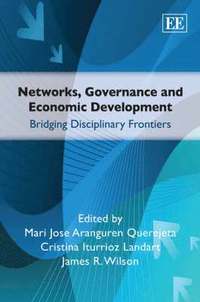 bokomslag Networks, Governance and Economic Development