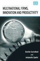 bokomslag Multinational Firms, Innovation and Productivity