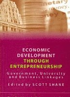 bokomslag Economic Development Through Entrepreneurship