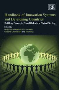 bokomslag Handbook of Innovation Systems and Developing Countries