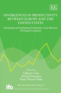 bokomslag Divergences in Productivity Between Europe and the United States