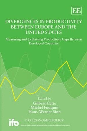 Gilbert Cette, Michael Fouquin, Hans-Werner Sinn - Divergences in Productivity Between Europe and the United States, Inbunden
