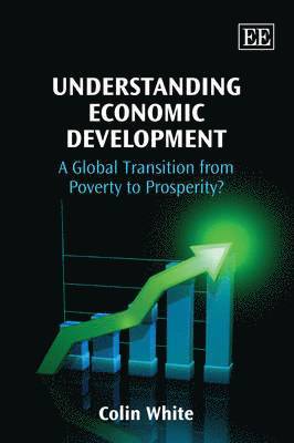 bokomslag Understanding Economic Development