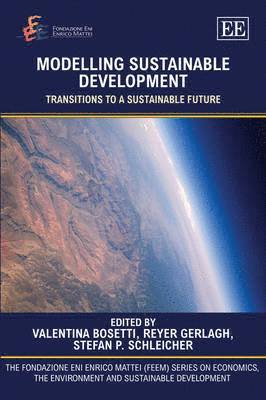 Valentina Bosetti, Reyer Gerlagh, Stefan P. Schleicher - Modelling Sustainable Development, Inbunden