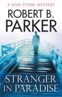 Stranger in Paradise 1