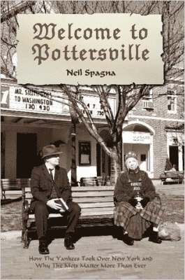 bokomslag Welcome to Pottersville