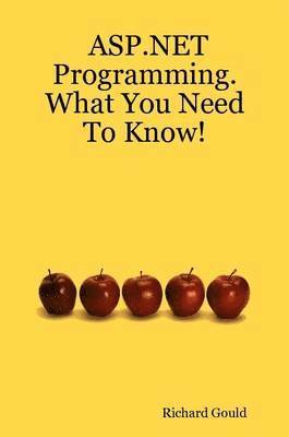 ASP.NET Programming. What You Need to Know!