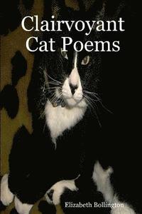 bokomslag Clairvoyant Cat Poems