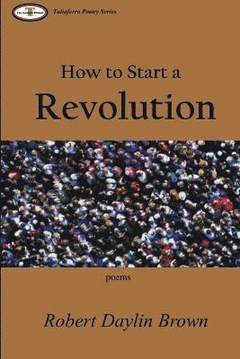 bokomslag How to Start a Revolution