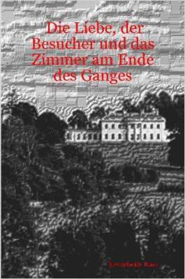 bokomslag Liebe, Der Besucher Und Das Zimmer am Ende Des Ganges