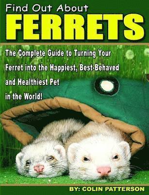 Colin, Patterson - Find Out About Ferrets, Häftad