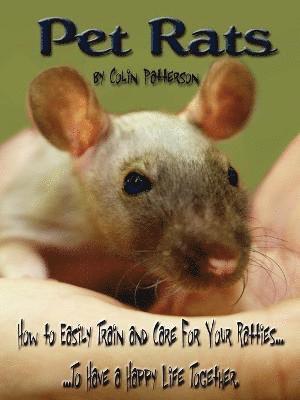 bokomslag Pet Rats