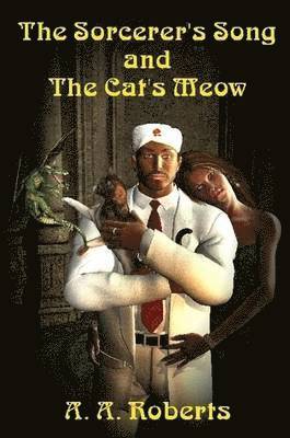 bokomslag Sorcerer's Song And The Cat's Meow