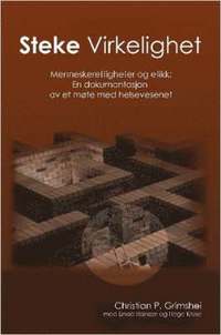 bokomslag Steke Virkelighet - Menneskerettigheter Og Etikk