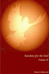 bokomslag Sunshine for the Soul Volume II