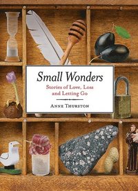 bokomslag Small Wonders