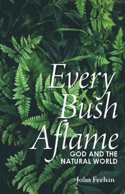 Every Bush Aflame 1