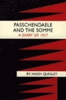 bokomslag Passchendaele and the Somme. A Diary of 1917