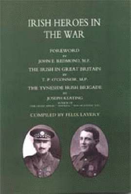 bokomslag (Tyneside Irish Brigade) IRISH HEROES IN THE WAR