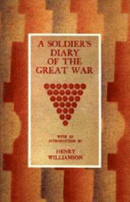 bokomslag Soldier's Diary of the Great War