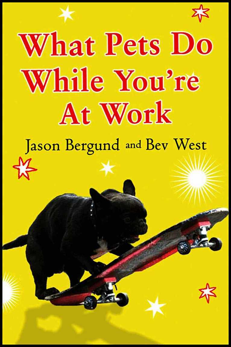 What Pets Do While You're At Work