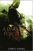 A Darkness Forged in Fire 1