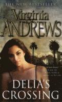 Virginia Andrews - Delia's Crossing, Häftad