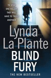 bokomslag Blind Fury