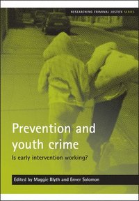 bokomslag Prevention and youth crime