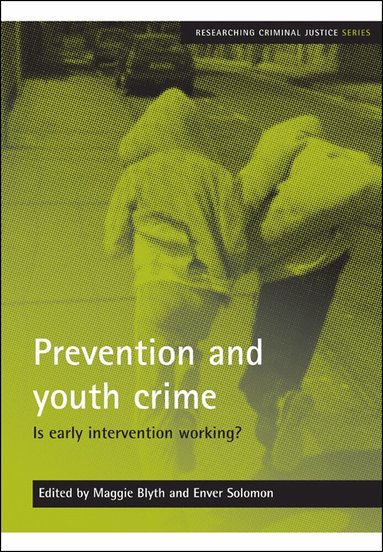 Maggie Blyth, Enver Solomon - Prevention and youth crime, Häftad