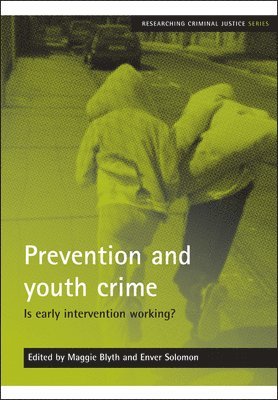 bokomslag Prevention and youth crime