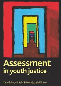 bokomslag Assessment in youth justice