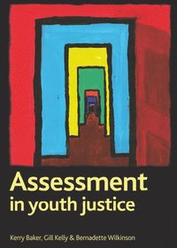 bokomslag Assessment in Youth Justice