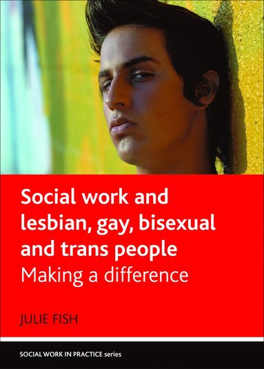 bokomslag Social Work and Lesbian, Gay, Bisexual and Trans People