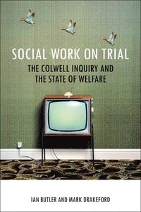 bokomslag Social Work on Trial