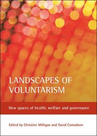 bokomslag Landscapes of voluntarism