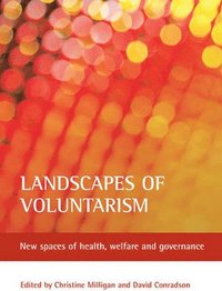 bokomslag Landscapes of voluntarism