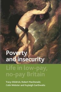 bokomslag Poverty and Insecurity