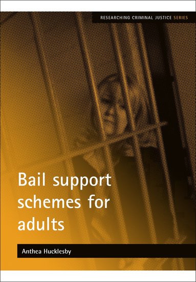 bokomslag Bail support schemes for adults