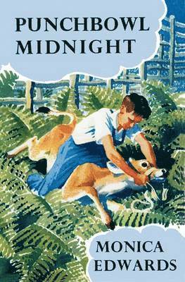 Monica Edwards - Punchbowl Midnight, Häftad