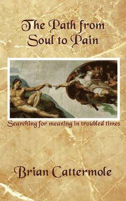 bokomslag Path from Soul to Pain