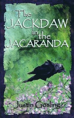 Jackdaw in the Jacaranda 1