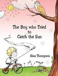 bokomslag Boy who Tried to Catch the Sun